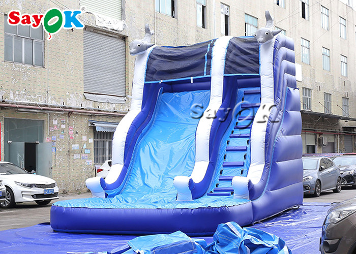 Inflatable Swimming Pool Slide Clearance 7x4x5mH Outdoor Kid Inflatable Climbing Water Slide For Entertainment