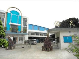 pins centre company ltd