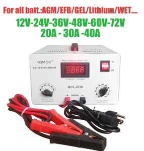 Wholesale OEM 24V Golf Cart Battery Chargers Desulfator Maintainer With Smart Chip from china suppliers