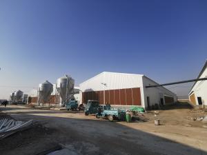 Wholesale Anti Corrosive Galvanized Full Antomatic Poultry Farm Shed Bird House Prefabricated from china suppliers