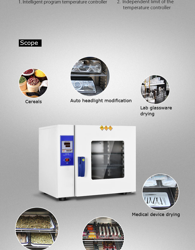 110v Forced Convection Drying Oven 60Hz Thermostatic Lab Drying Equipment