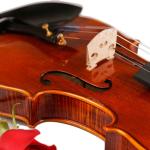 Hobby beginner professional college Symphony Orchestra Violin famous brand,