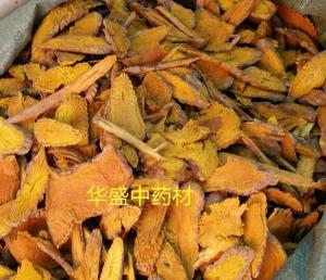 Wholesale Dried Fibraurea recisa Pierre stem Northern Dutchmanspipe Vine herbal medicine Huang teng from china suppliers
