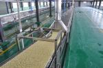 Electric Wheat Flour Fried Instant Noodle Production Line Equipment