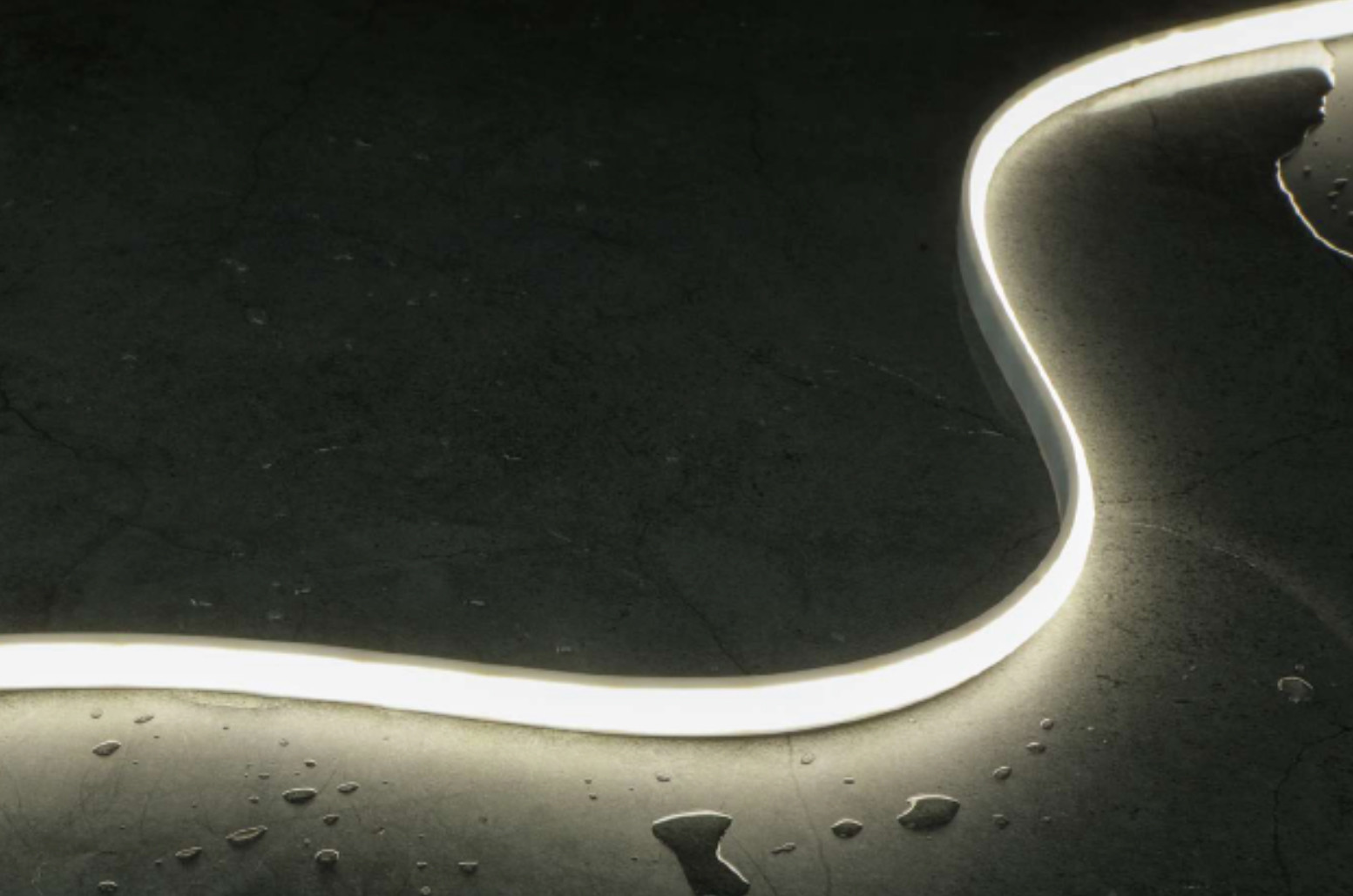 IP68 Underwater Neon Flex 24V TPU Materials Flexible Led Strip For Swimming Pool Use