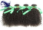 Nature Virgin Indian Hair Extensions