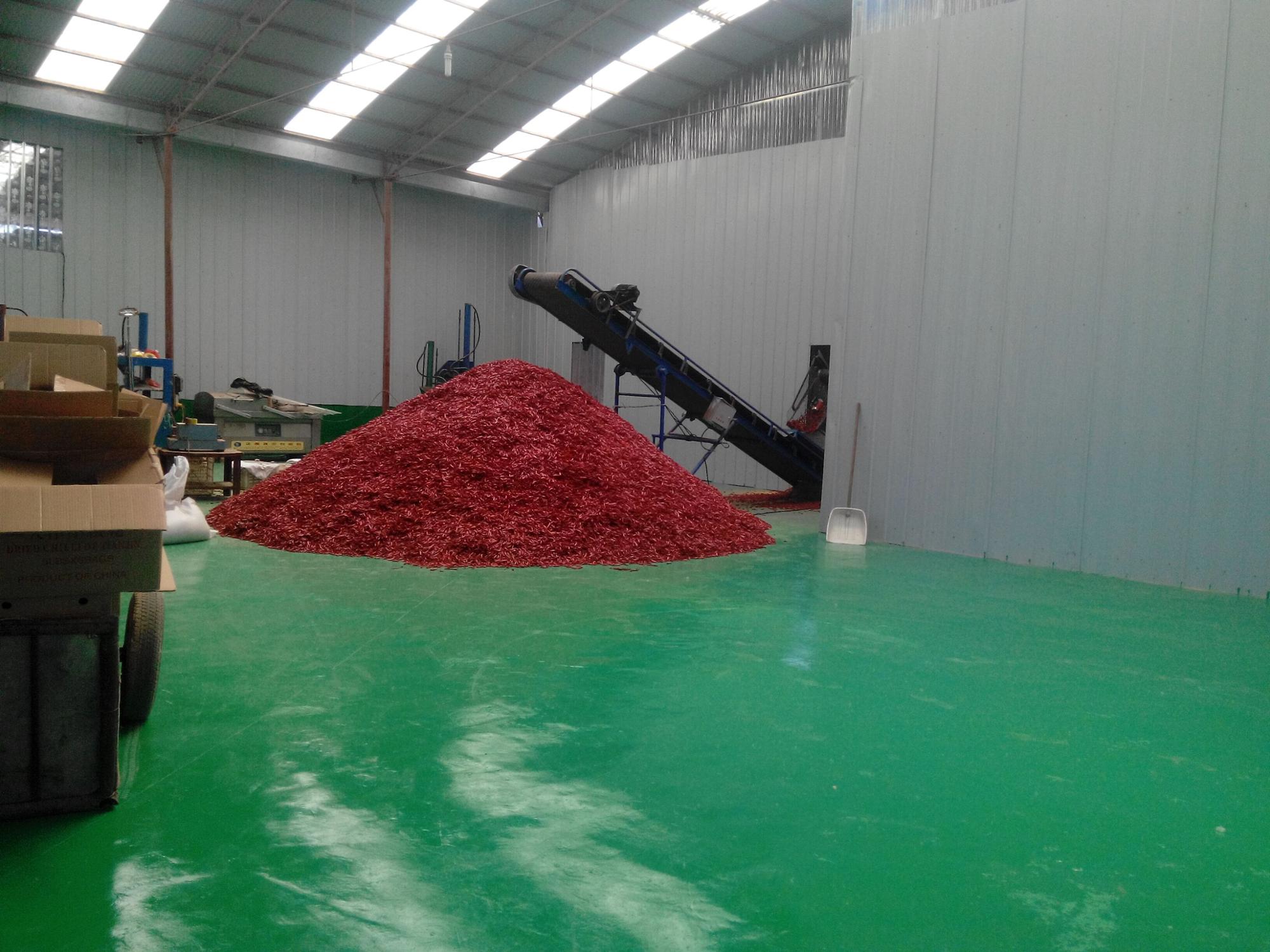 Guajillo Sun Dried Chilli Red Guajillo Peppers Sweet Flavor KOSHER