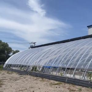 Wholesale Arched Roof Sunlight Greenhouse for Vegetable Production Seeding US 20/Square Meter from china suppliers