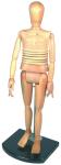 Human Body Artist Wooden Manikin Artist Mannequin Figure Natural Colour