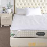 Home Anti Bud Quilted 200g Mattress Cover Protector