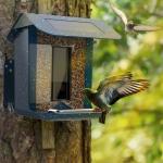 Plastic Outdoor Smart Bird Feeder Camera 2 Megapixel 400mAh Solor Panel