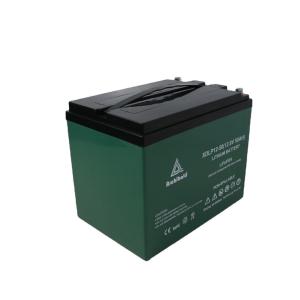 Wholesale Li - Ion 12 Volt Deep Cycle Marine Battery 50ah Free Maintenance from china suppliers