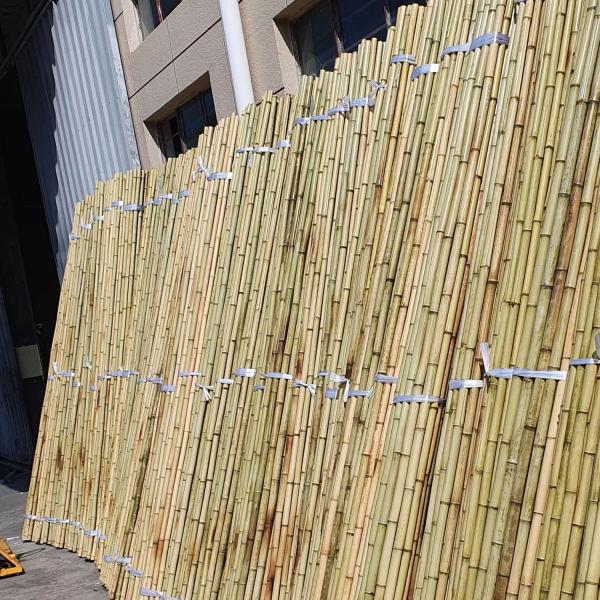 Eco-Friendly Bamboo Poles Toamto Beans Potted Plants for Indoor and Outdoor