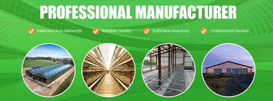 Galvanized Weather-Resistant Steel Structure Prefabricated Chicken House with Easy Rinse and Disinfect Design
