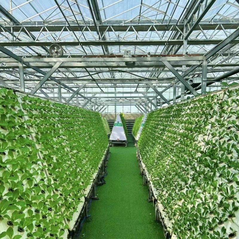 Glass Greenhouse Hydroponics Growing System with Good Light Transmission