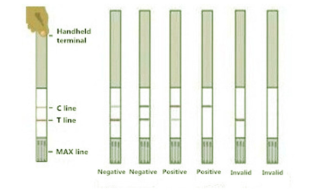 Nitrofuran AMOZ Food Safety Rapid Test Kit Strip For Tissue 96 Tests/Kit 0.5Ppb