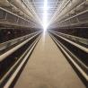 Buy cheap Locally Made Battery Chicken Cage Equipment 3-9tiers 650x625x500mm Size SONCAP from wholesalers