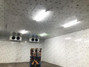 Wholesale 300 Square Meters Vegetables and Fruits Walk In Cold Room Manufacturer from china suppliers