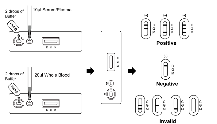 COVID-19 IgG / IgM Rapid Test Whole Blood / Serum / Plasma Specimen