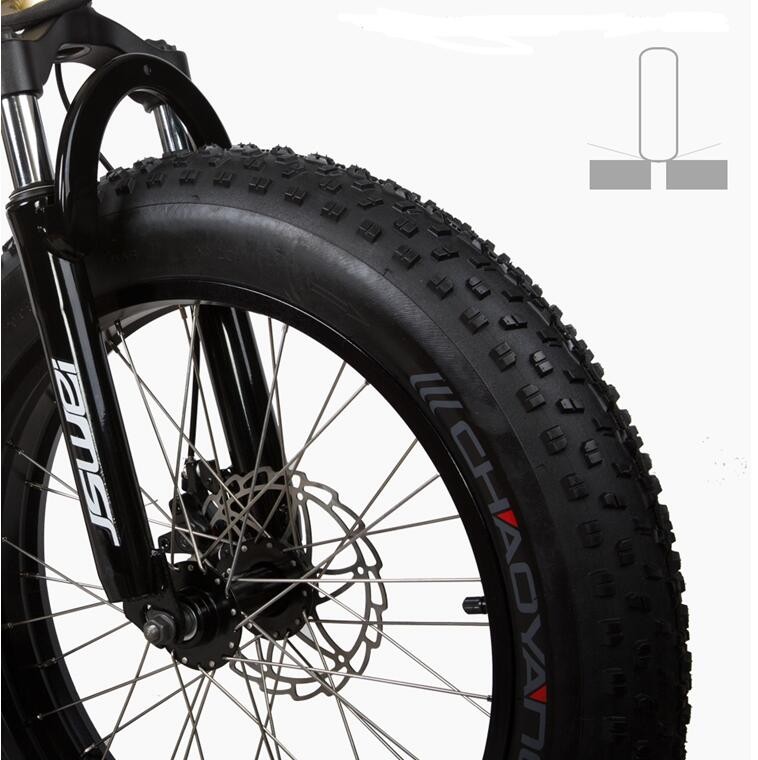 36V 500 Watt 20 Inch Fat Tire Electric Bike