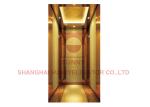Modern Residential Home Elevators SUNNY Lift Steel Band Style 0.4m/s