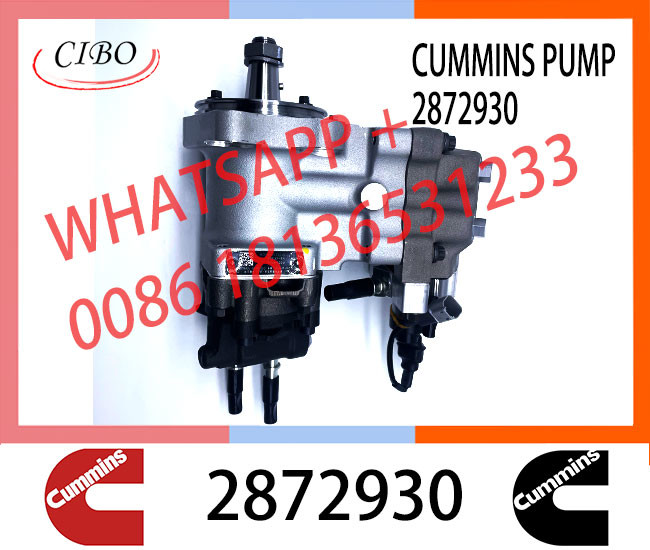 Diesel Injection Fuel Pump 4903462 2872191 4902731 2872930 4921431 For Cummins ISLE Engine