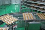 CE Stainless Steel Bread Spiral Cooling Tower in China Manufacturer