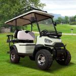 Utility Trucks With 2 Passenger And 48V 5KW AC Motor Journey Golf Cart Standing