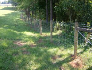 Wholesale 4 Ft 5 Ft Livestock Mesh Fencing SGS Certification from china suppliers