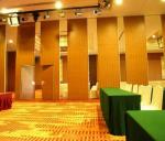 Restaurant Retractable Screen Acoustic Room Dividers Folding Sliding Floor to