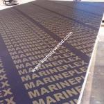 18mm Brown Film Faced Plywood, Brown film coated construction plywood, Formwork