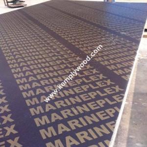 Wholesale Film faced plywood poplar core WBP glue, shuttering plywood 18mm, film faced plywood with brand name from china suppliers