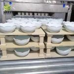 Environmental Friendly Roller Kiln For Production Of Sanitary Ceramics