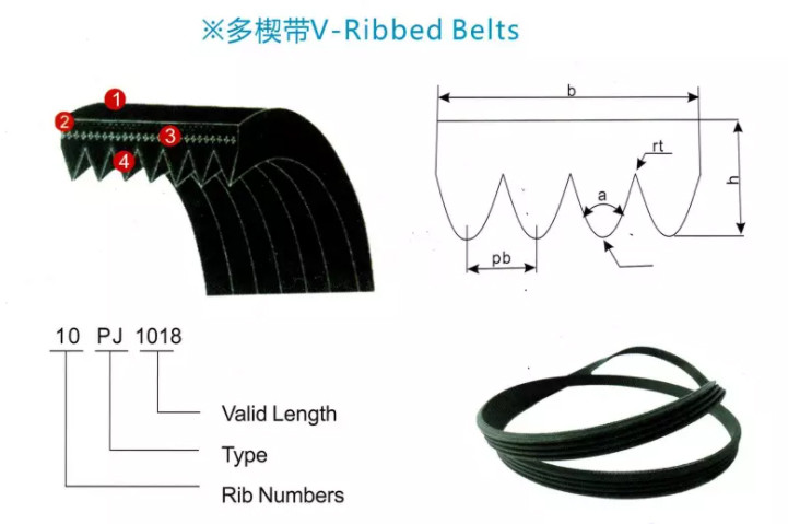 Pulley Wheel Transmission kit CR PK Rubber EPDM type A V Belt