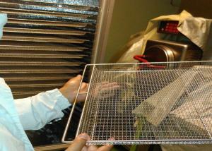 Wholesale Food Baking Stainless Steel Mesh Tray For Vegetable Dehydration 10-15mm Hole Size from china suppliers