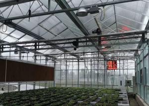 Wholesale Plastic / Poly Agricultural Greenhouse , Vegetable Tunnel Multi Span Greenhouse from china suppliers