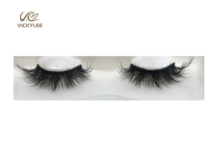 Natural Black Dramatization 21mm Volume Eye Lashes