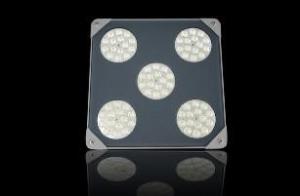 Wholesale 75W LED Canopy Light from china suppliers