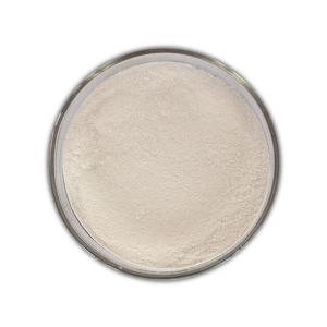 Wholesale Baking Industry Enzymes 100000U/G Amylase Enzyme For Bread from china suppliers