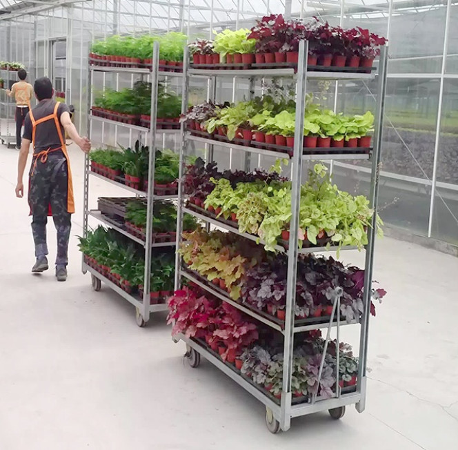 Metal Mesh Dutch Flower Trolley Metal Sheet Hot Dip Galvanizing