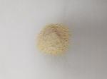 HALAL Creamy To Light Yellow Dehydrated Garlic Powder 80mesh