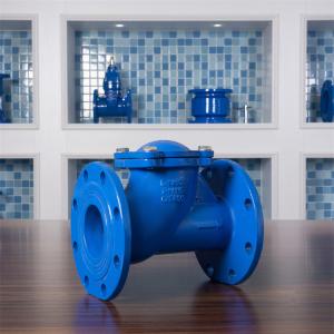 China DIN Ductile Cast Iron Ball Check Valve Flanged PN16 DN100 Water Treatment on sale