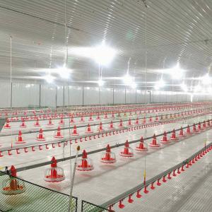 Wholesale 45mm Diameter Broiler Equipment from china suppliers