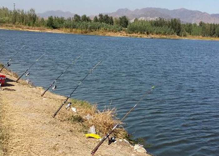 DEVC-208 sonar fish finder 2.4G fast speed carp fishing bait boats