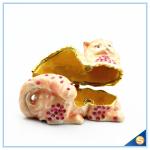 Yellow And Pink Cat Shape Crystal Trinket Box For Sale SCJ602