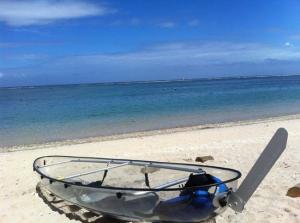 Wholesale Custom Water Sports Polycarbonate Boat For Family Entertainment from china suppliers
