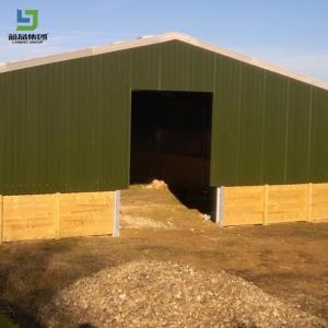 Wholesale Prefabricated Steel Building Construction Warehouse Building Garage Shed Workshop from china suppliers