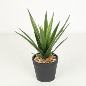 Wholesale Texture Fidelity Greenery Agave Faux Bonsai Tree 22 CM 25 CM 29 CM from china suppliers