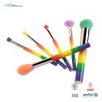 Colourful Handle Synthetic Hair Makeup Brush 6Pcs Aluminum Ferrule