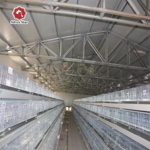 Wholesale Broiler Chicken Farm Automatic Battery Cage System 13 Chicks/Cell from china suppliers